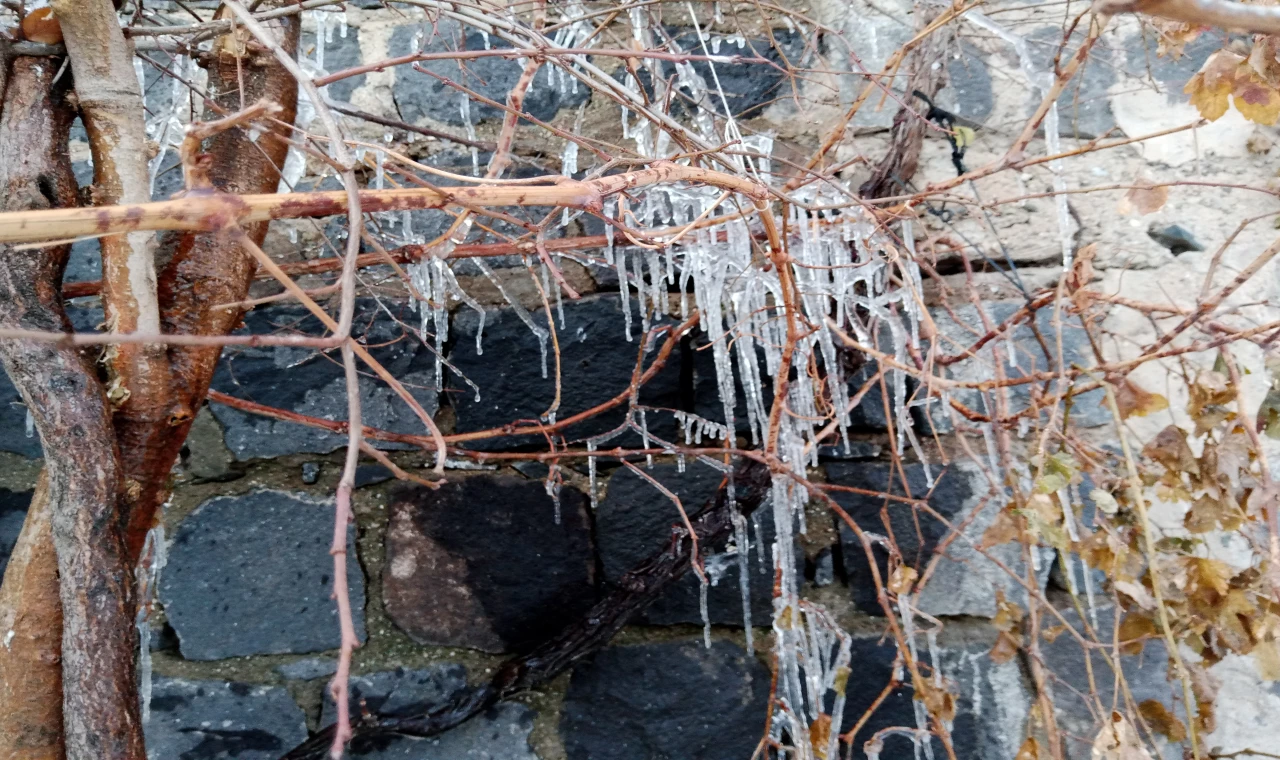 Kar Yağışından Sonra Don Vurdu: Siverek’te Ağaçlar Buz Tuttu