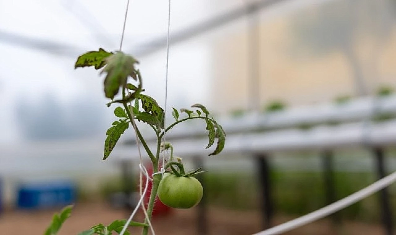 Yenişehir’den eğitime Yeşil destek