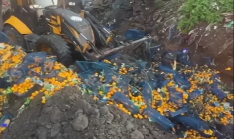 Artvin Sarp Sınır Kapısı’nda 6,1 ton mandalina imha edildi!