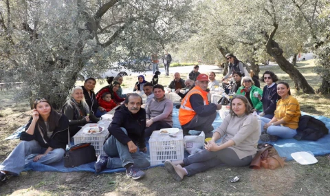 Mudanya’da birlikte zeytin topladılar