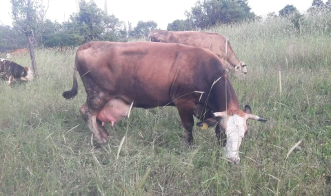 Bilecik Pazaryeri’nde çok sayıda mahalle ve köy karantinada
