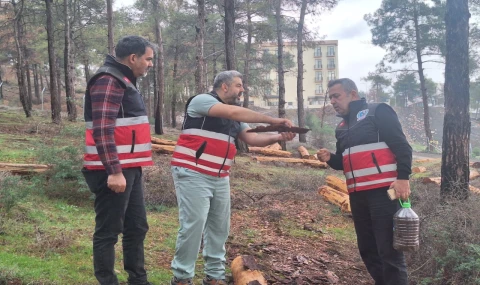 Hatay’da mücbir ağaç kesimlerine ’Tabiatı Koruma’dan açıklama