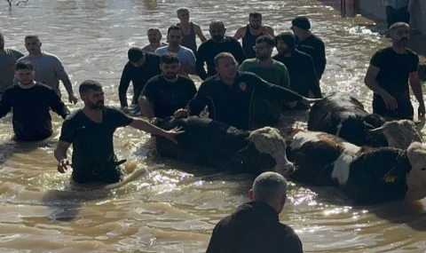 Manisa’da sel sefeberliği... 44 vatandaş ve 127 hayvan tahliye edildi